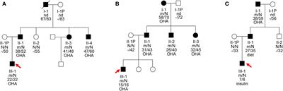 Identification and precision therapy for three maturity-onset diabetes of the young (MODY) families caused by mutations in the HNF4A gene